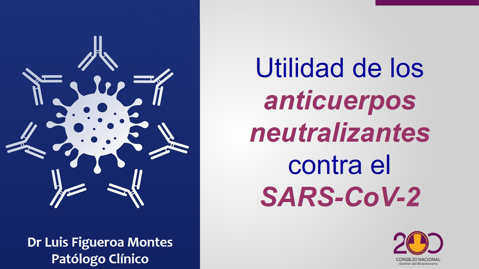 Anticuerpos neutralizantez contra el SARS-CoV-2 - Luis FIgueroa