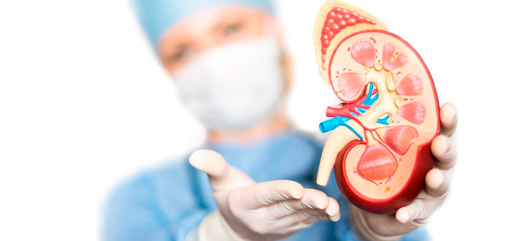 Diagnóstico de albuminuria en pacientes mayores de 55 años en una red asistencial